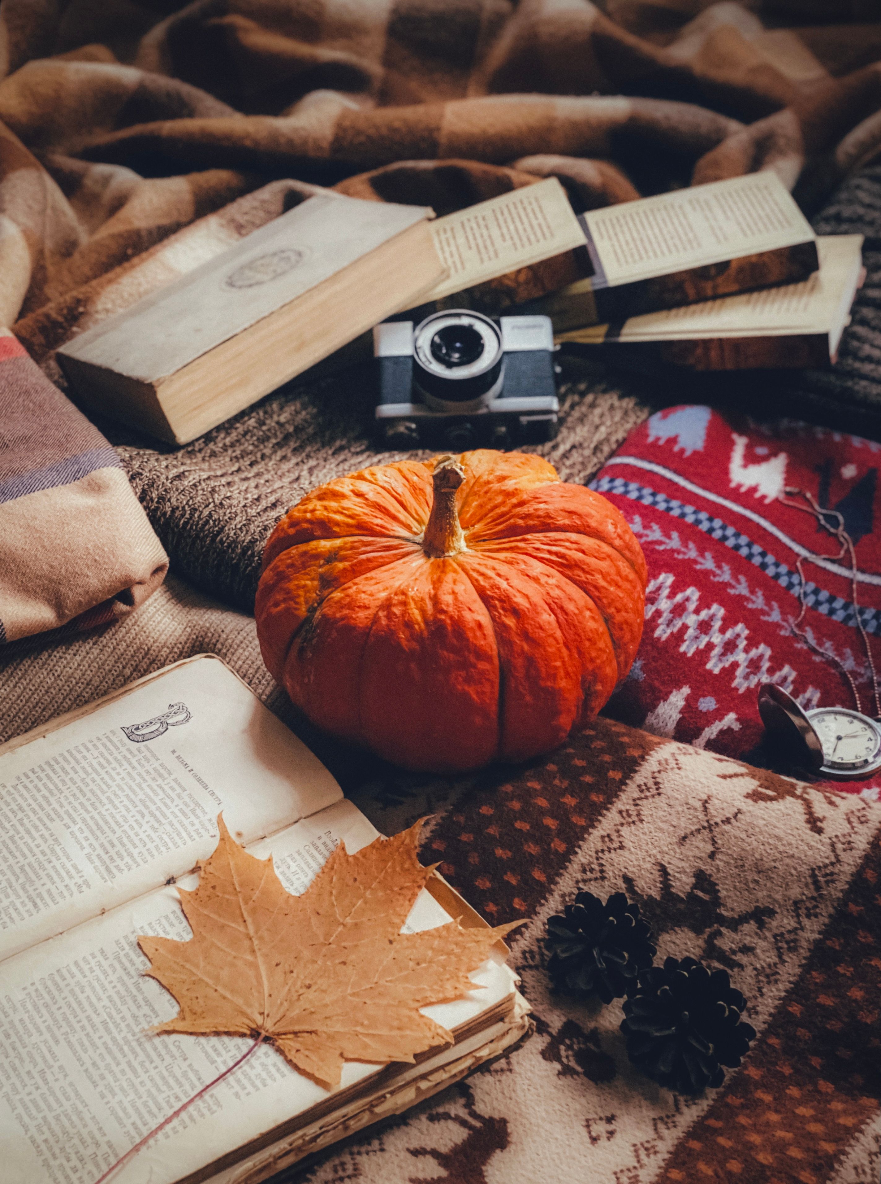 Die Wohnung für den Herbst vorbereiten: 9 Ideen für mehr Gemütlichkeit